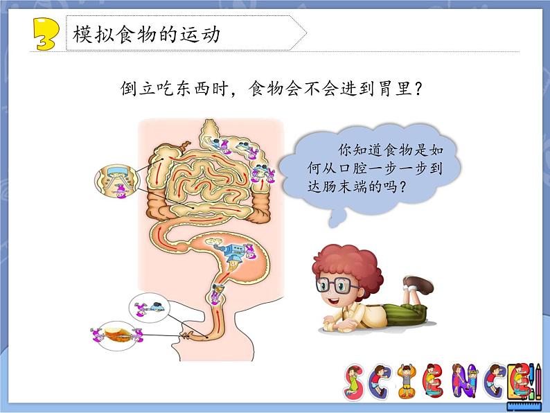 牛津上海版科学七年级上册 10.2.2食物的消化 课件PPT08