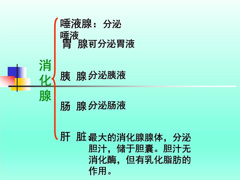 牛津上海版科学七年级上册 10.2.2食物的消化 课件PPT04