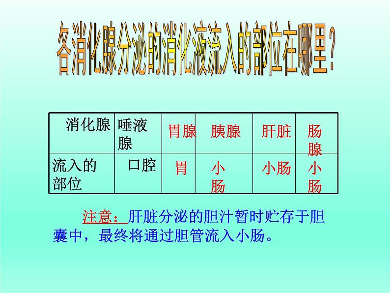 牛津上海版科学七年级上册 10.2.2食物的消化 课件PPT05