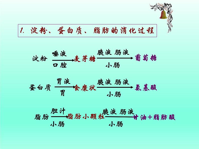 牛津上海版科学七年级上册 10.2.2食物的消化 课件PPT08