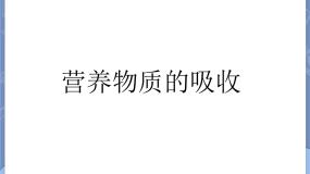 牛津上海版七年级上册营养物质的吸收教课内容课件ppt