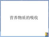 牛津上海版科学七年级上册 10.2.3营养物质的吸收 课件PPT