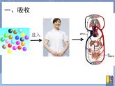 牛津上海版科学七年级上册 10.2.3营养物质的吸收 课件PPT