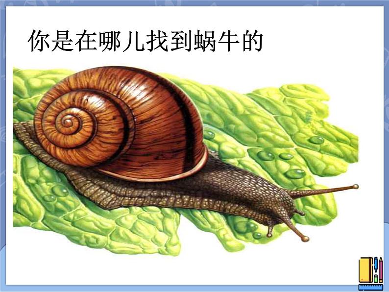 牛津上海版科学七年级上册 11.1.1生物对环境变化的反应 课件PPT第3页