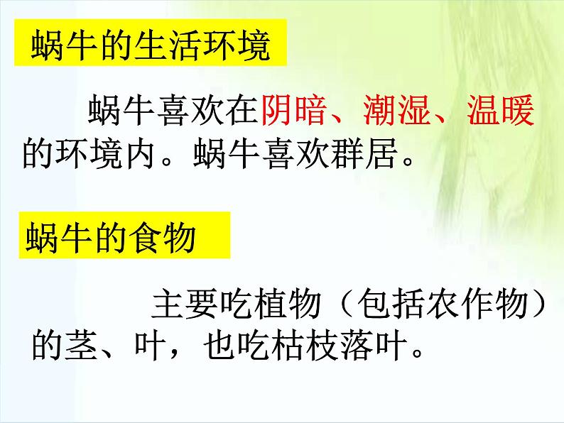 牛津上海版科学七年级上册 11.1.1生物对环境变化的反应 课件PPT第4页