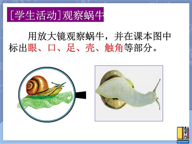 牛津上海版科学七年级上册 11.1.1生物对环境变化的反应 课件PPT第5页