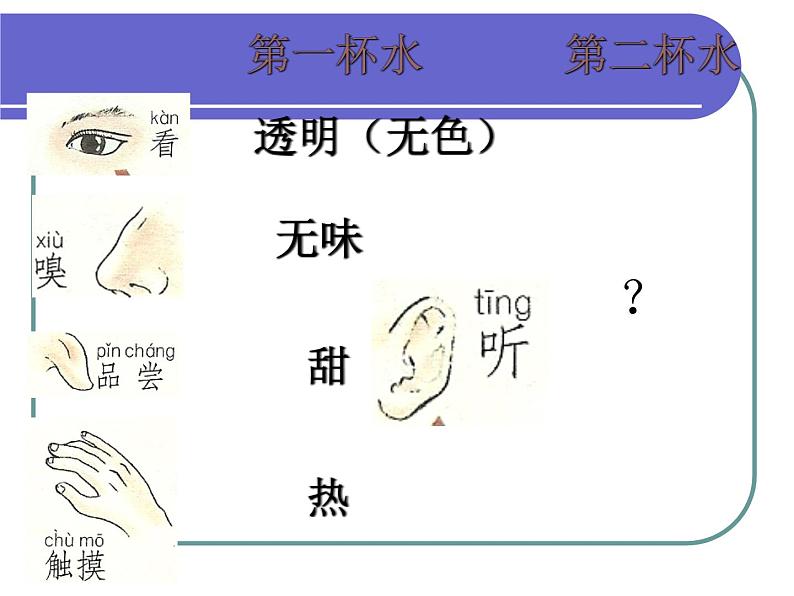 牛津上海版科学七年级上册 11.1.2人体具有的感觉 课件PPT08