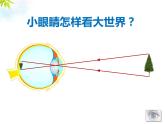 牛津上海版科学七年级上册 11.2.3近视与远视 课件PPT