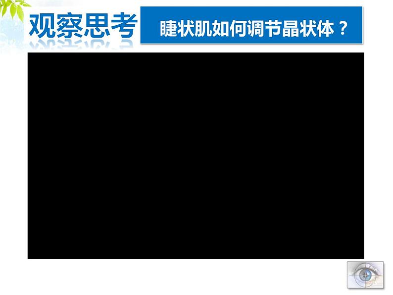 牛津上海版科学七年级上册 11.2.3近视与远视 课件PPT05