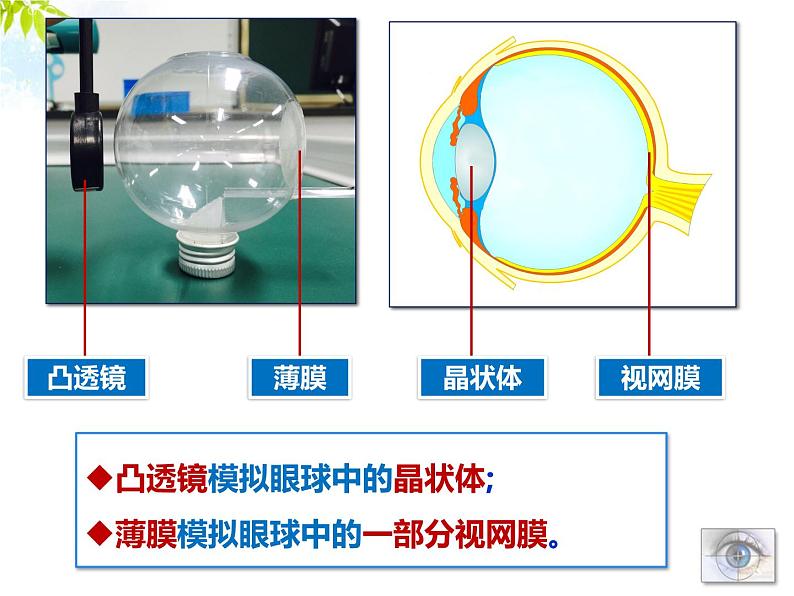 牛津上海版科学七年级上册 11.2.3近视与远视 课件PPT07