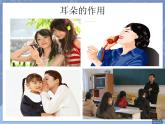 牛津上海版科学七年级上册 11.3.4保护听力 PPT课件