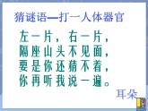 牛津上海版科学七年级上册 11.3.4保护听力 课件PPT