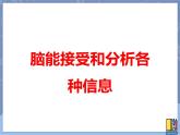 牛津上海版科学七年级上册 11.5.2脑能接受和分析各种信息 课件PPT