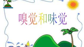 科学嗅觉和味觉教学课件ppt