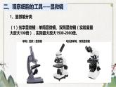 牛津上海版六上科学 3.1显微镜的使用 课件PPT