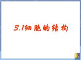 牛津上海版六上科学 3.2显微镜——细胞的结构 课件PPT