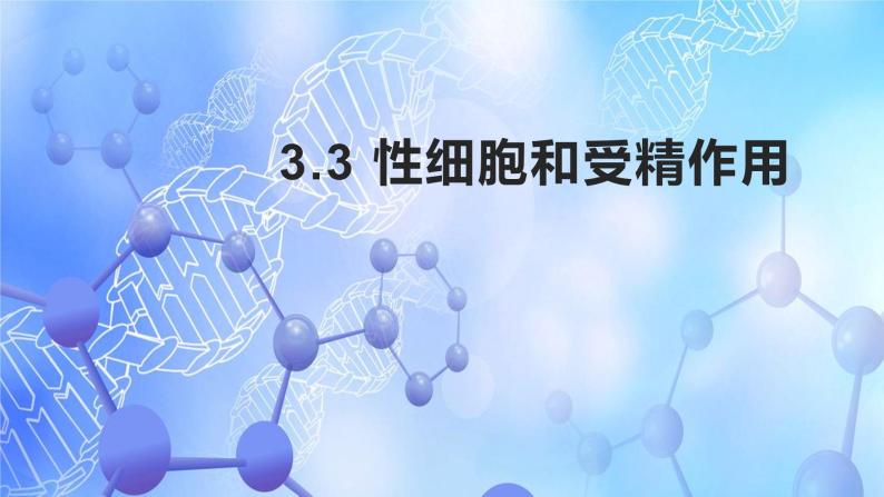 牛津上海版六上科学 3.3和3.4生命的诞生、青春期、传染病 课件PPT03