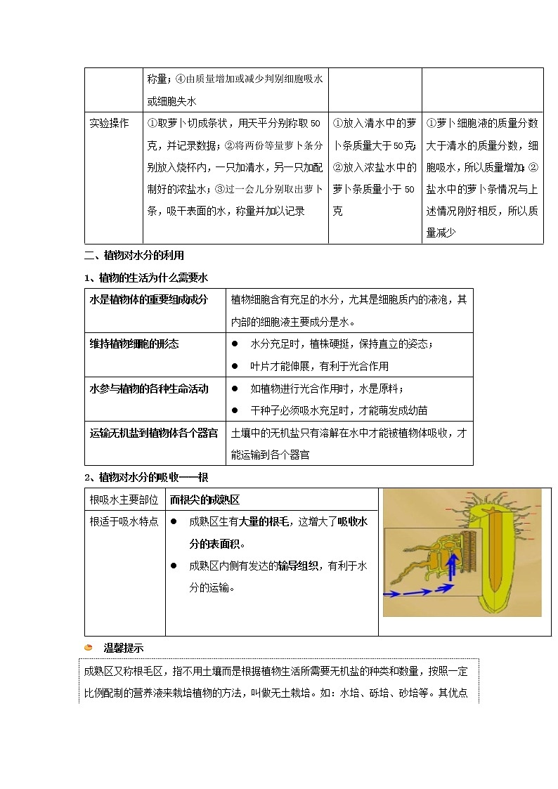 华师大版八年级科学上册 2 水在植物体中的代谢 同步训练 (原卷+ 解析卷)02