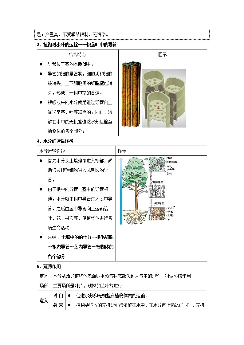 华师大版八年级科学上册 2 水在植物体中的代谢 同步训练 (原卷+ 解析卷)03