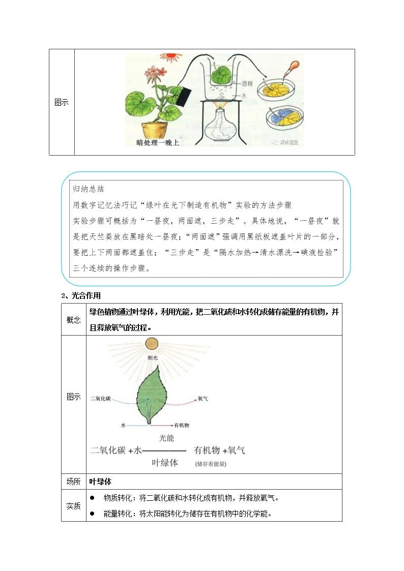 华师大版八年级科学上册 4 植物的光合作用和呼吸作用 同步训练 (原卷+ 解析卷)02