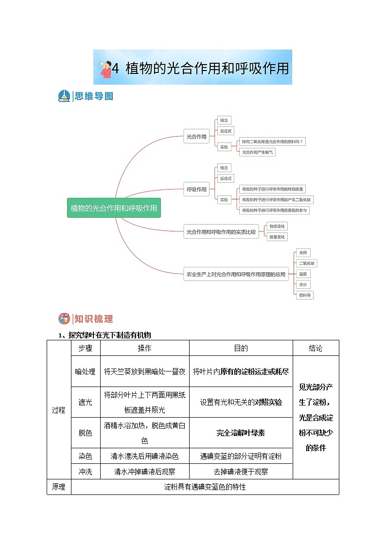华师大版八年级科学上册 4 植物的光合作用和呼吸作用 同步训练 (原卷+ 解析卷)01
