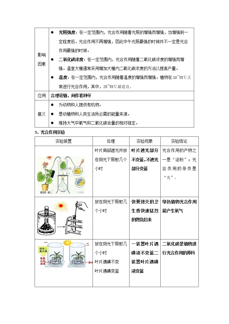 华师大版八年级科学上册 4 植物的光合作用和呼吸作用 同步训练 (原卷+ 解析卷)03