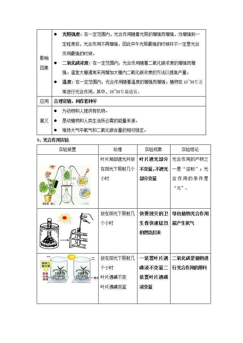 华师大版八年级科学上册 4 植物的光合作用和呼吸作用 同步训练 (原卷+ 解析卷)03