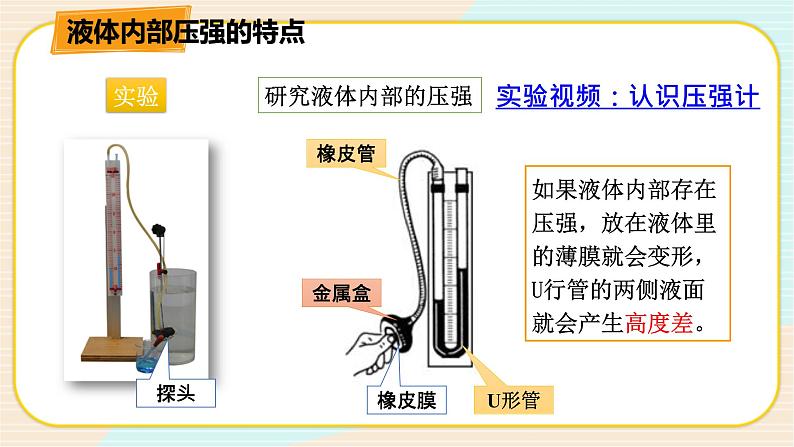 HS版科学八年级上册2.2.1液体内部的压强（一）第5页