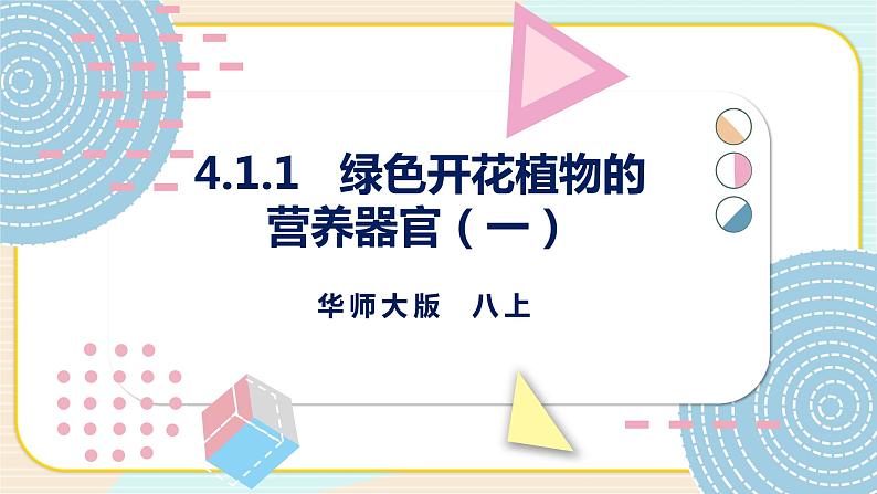 华师大版科学八上 4.1.1 绿色开花植物的营养器官（一） 课件PPT+视频01
