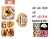 华师大版科学八上 5.1 食物的消化和吸收 课件PPT+视频