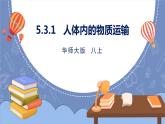 华师大版科学八上 5.3.1人体内的物质运输 课件PPT