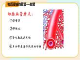 华师大版科学八上 5.3.1人体内的物质运输 课件PPT