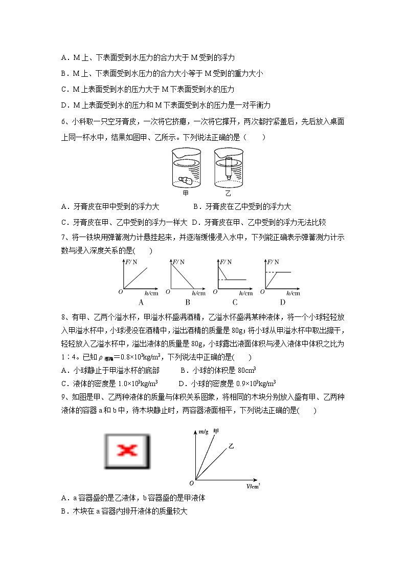 华师大版八年级科学上册 5 本章复习与测试 同步训练 (原卷+ 解析卷)02