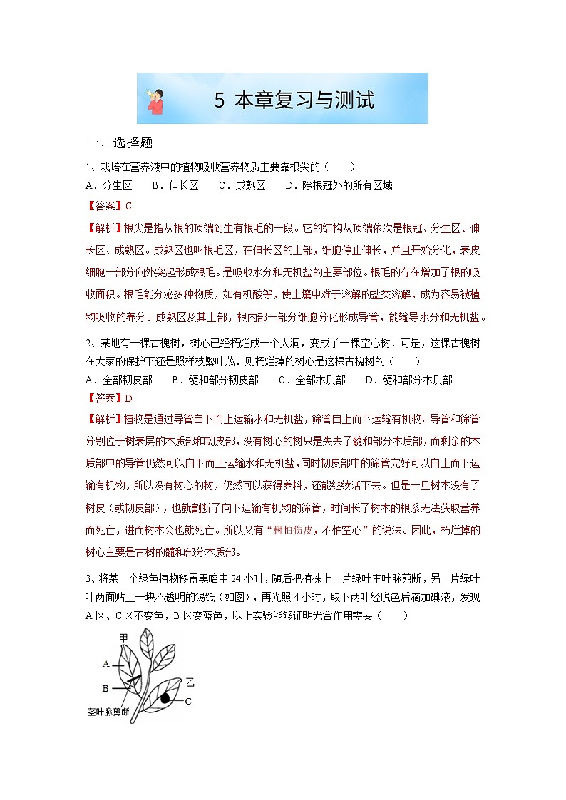 华师大版八年级科学上册 5.1 本章复习与测试 同步训练 (原卷+ 解析卷)01