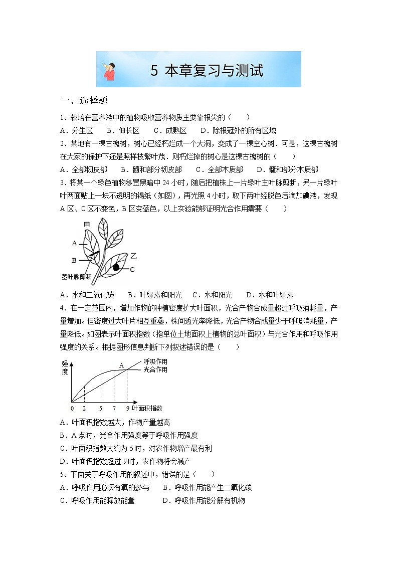华师大版八年级科学上册 5.1 本章复习与测试 同步训练 (原卷+ 解析卷)01
