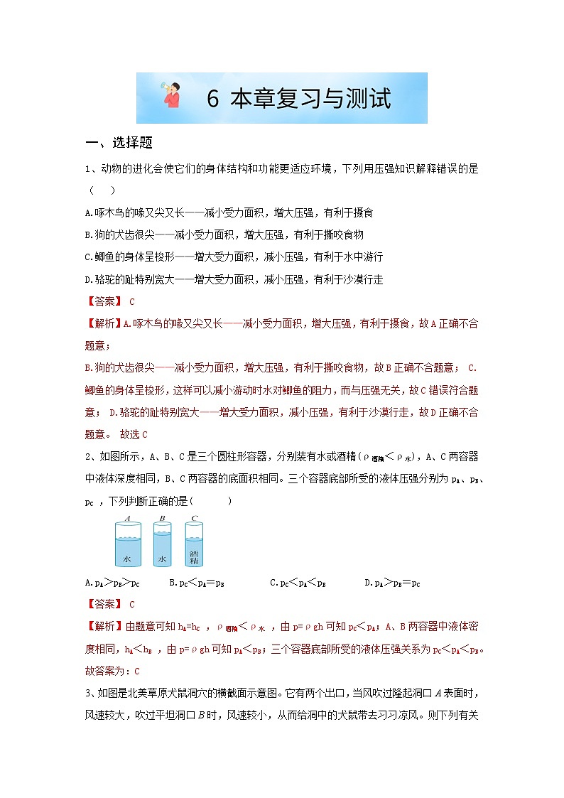 华师大版八年级科学上册 5.2 本章复习与测试 同步训练 (原卷+ 解析卷)01