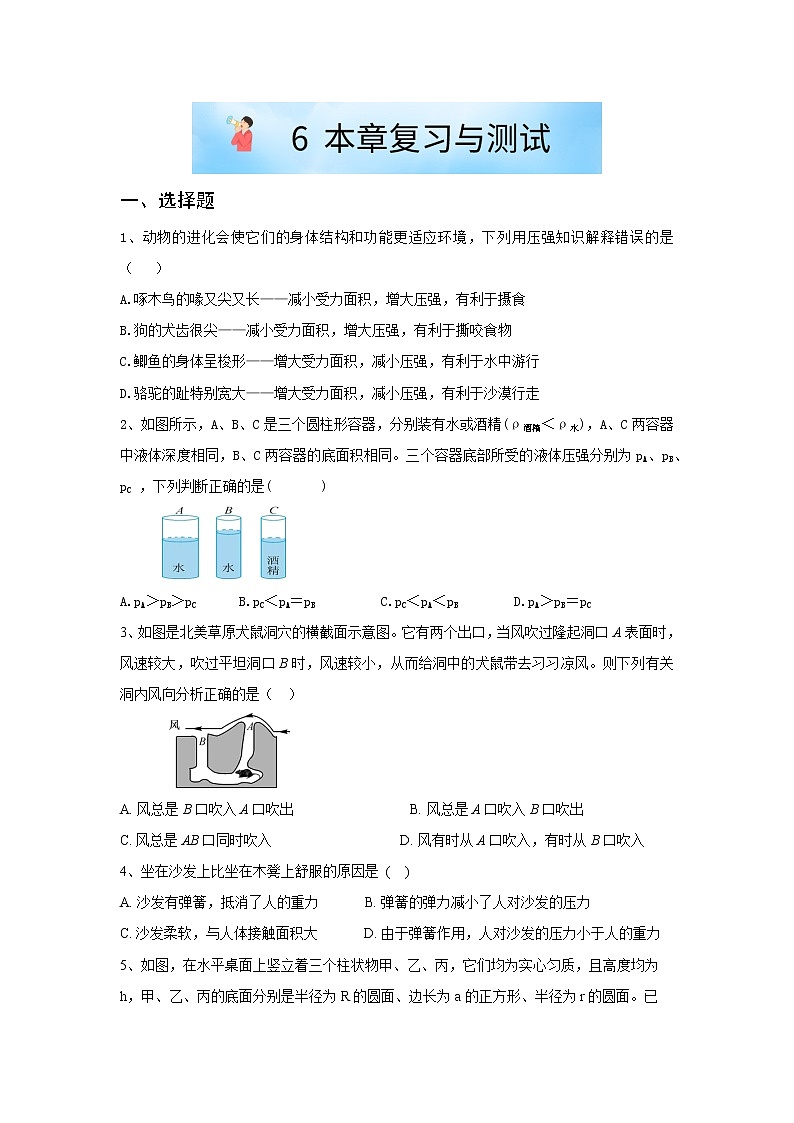 华师大版八年级科学上册 5.2 本章复习与测试 同步训练 (原卷+ 解析卷)01