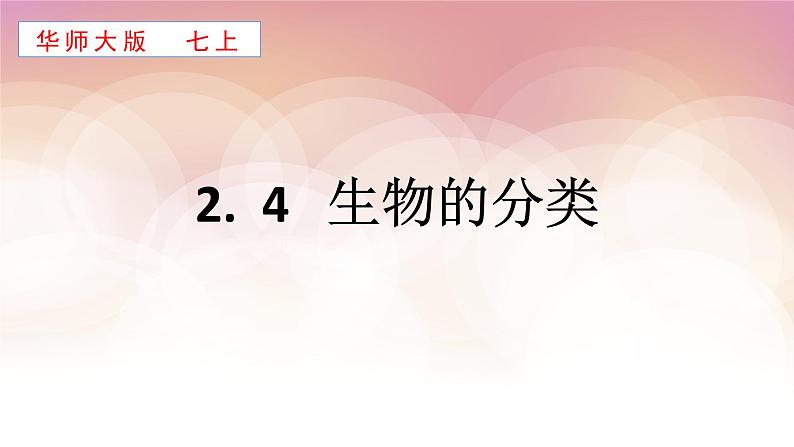 2022华师大版七上科学2.4生物的分类 （课件 25张PPT+预习案+练习）01