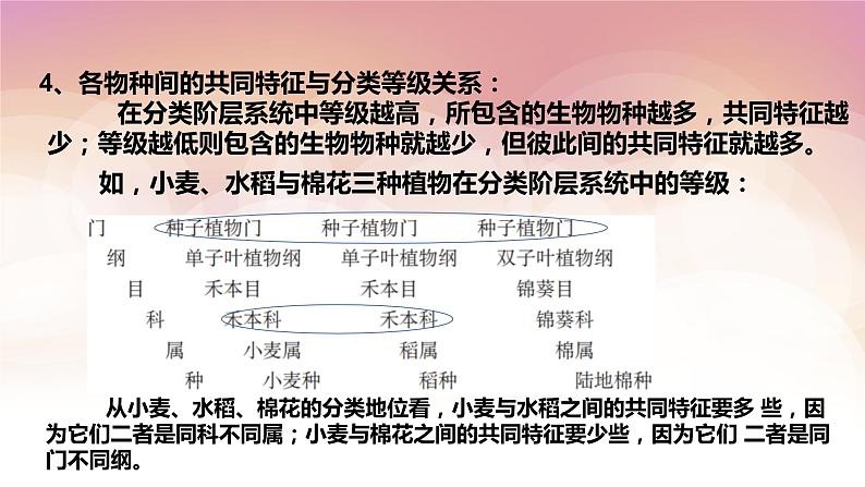 2022华师大版七上科学2.4生物的分类 （课件 25张PPT+预习案+练习）08