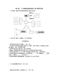 初中科学华师大版七年级上册3组织、器官和系统学案设计