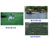 华中师大版八上科学 1.1机械运动 课件