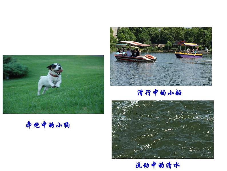 华中师大版八上科学 1.1机械运动 课件02