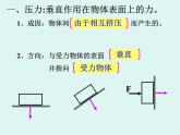 华中师大版八上科学 2.1压强 课件