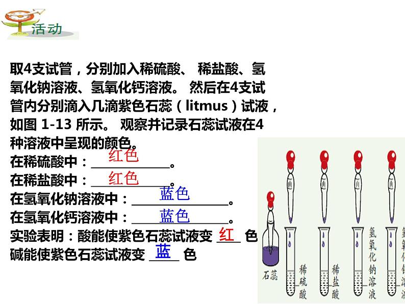 浙教版九上科学 1.2物质的酸碱性 课件03