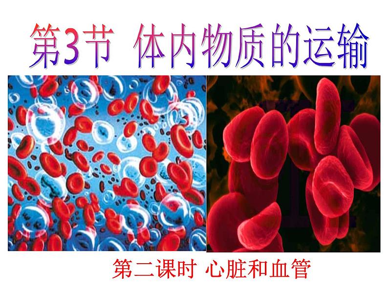 浙教版九上科学 4.3体内物质的运输 课件01