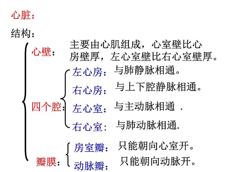 浙教版九上科学 4.3体内物质的运输 课件08