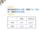 浙教版九上科学 4.4能量的获得 课件