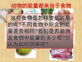 浙教版九上科学 4.1食物与营养 课件