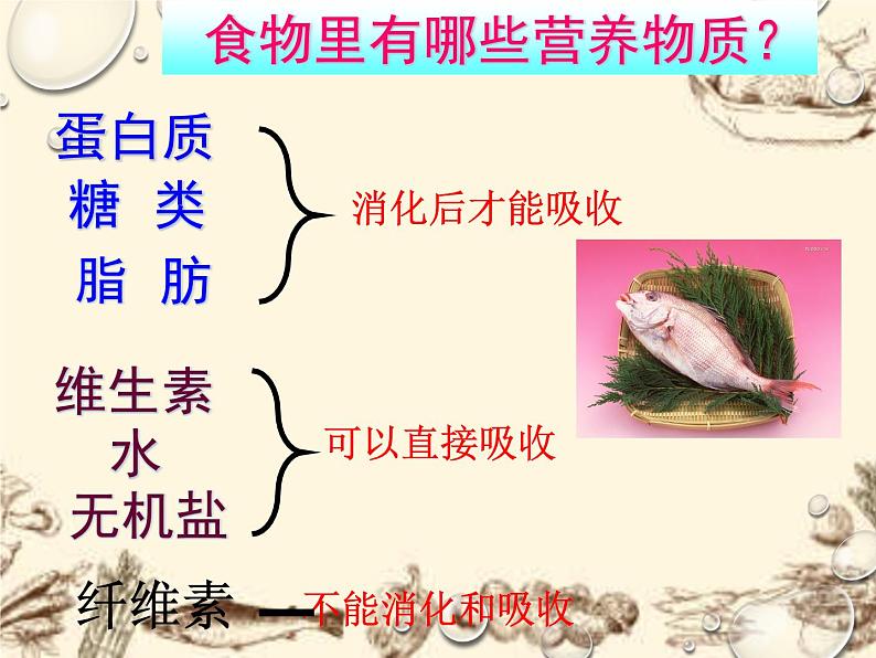 华中师大版八上科学 5.1食物的消化与吸收 课件08