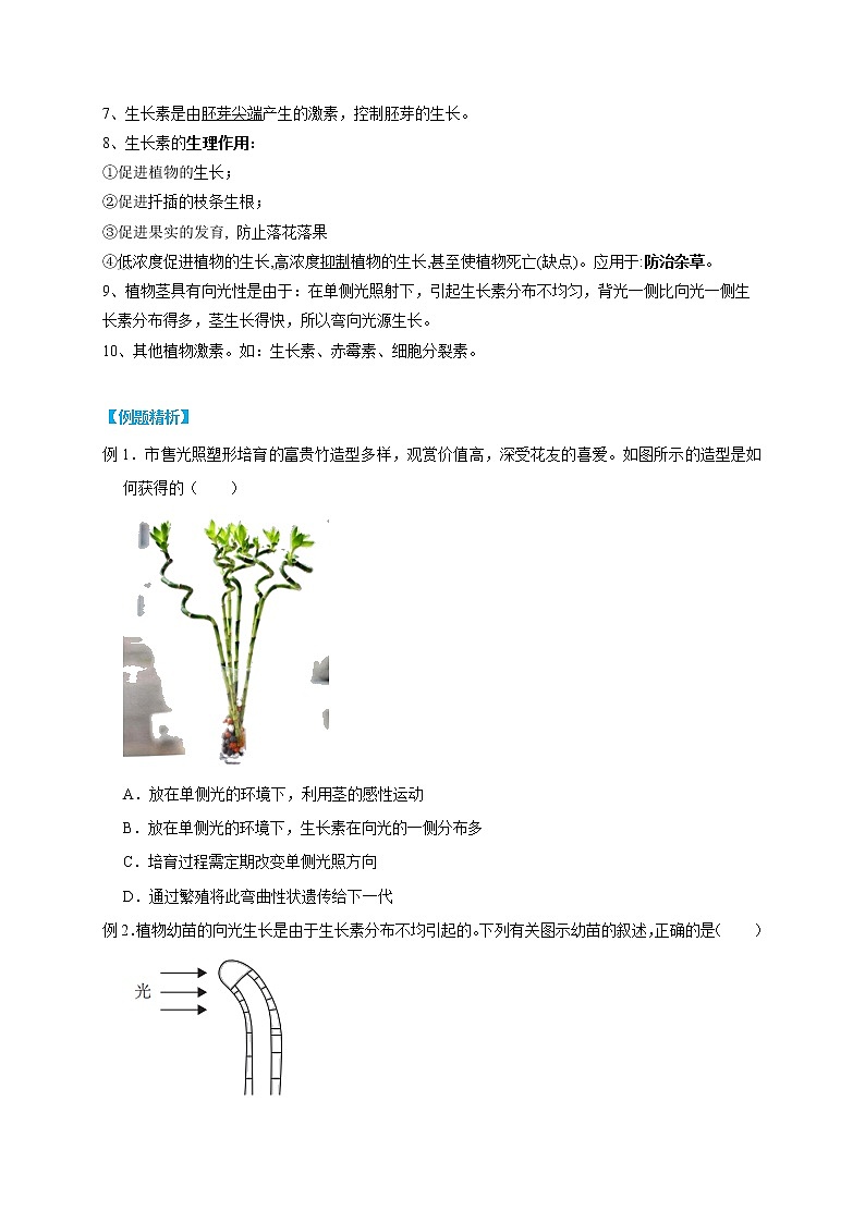 3.1 植物生命活动的调节- 2022-2023学年八年级上册科学同步精品讲义（浙教版）02